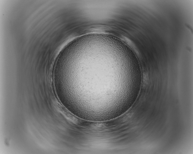 X0000100411435200806131026