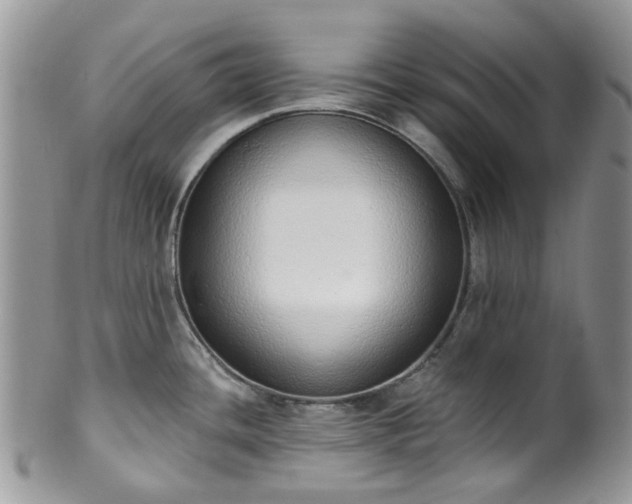 X0000100411436200806131026