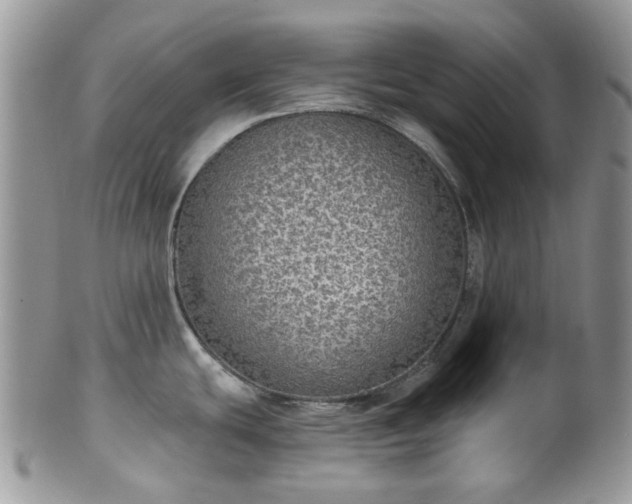 X0000100411439200806131026