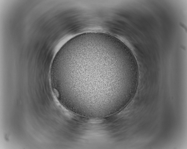 X0000100411440200806131026