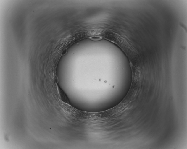 X0000100411441200806131025