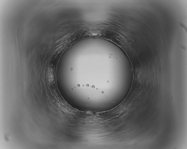 X0000100411442200806131025