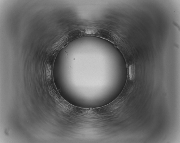 X0000100411443200806131025