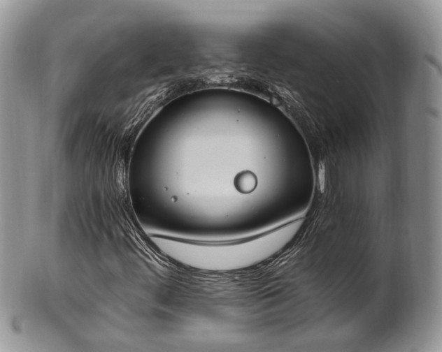 X0000100411444200806131025