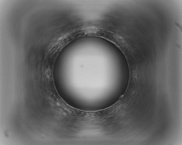 X0000100411445200806131025