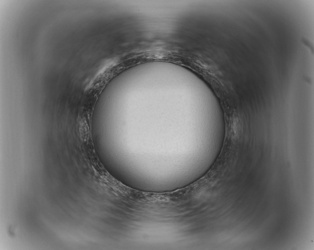 X0000100411446200806131025