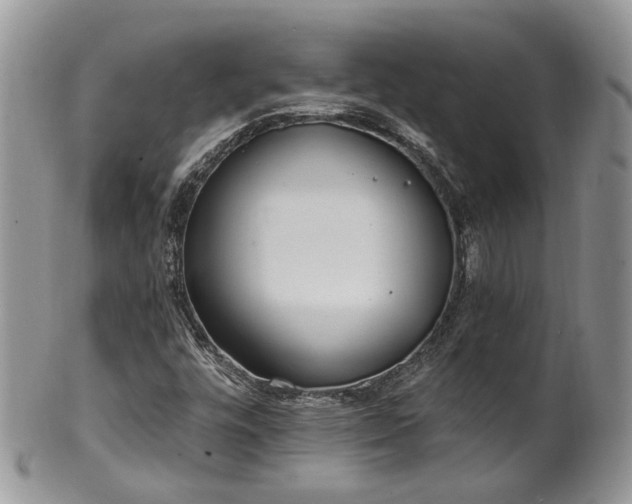 X0000100411448200806131025