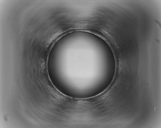 X0000100411449200806131025