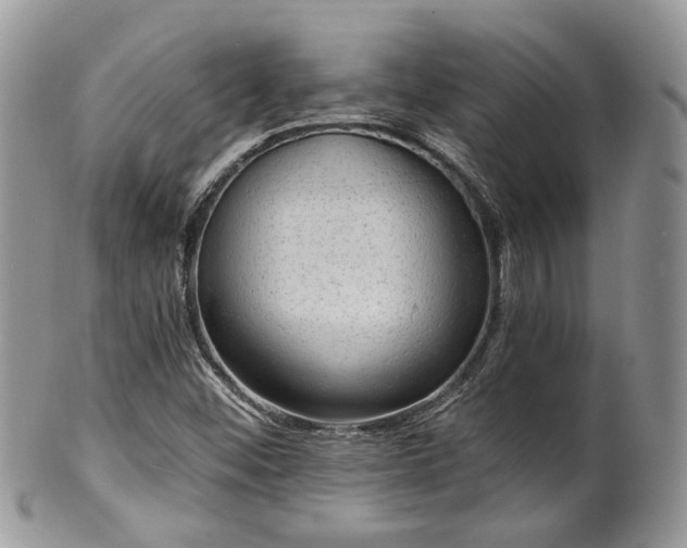 X0000100411452200806131025