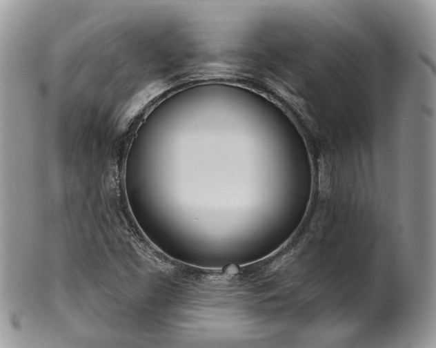 X0000100411453200806131025