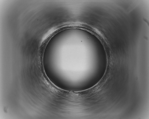 X0000100411456200806131025