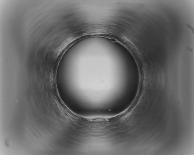 X0000100411457200806131025