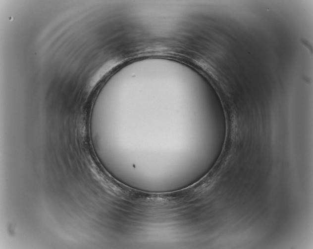 X0000100411458200806131025