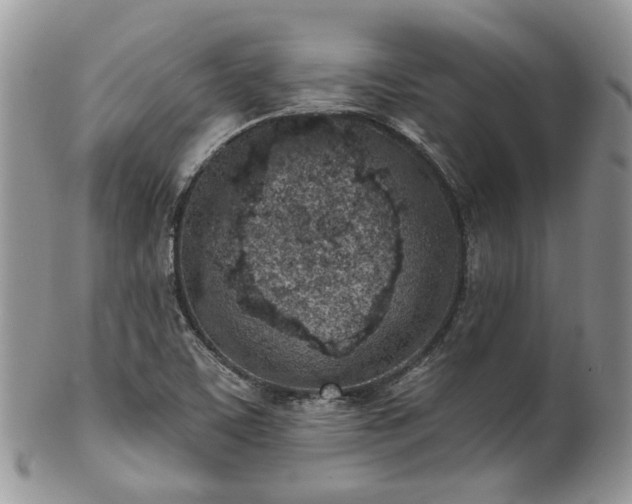 X0000100411459200806131025