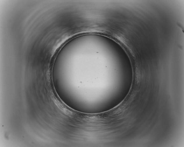 X0000100411460200806131025