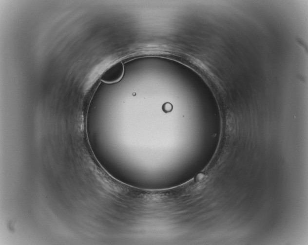 X0000100411461200806131025