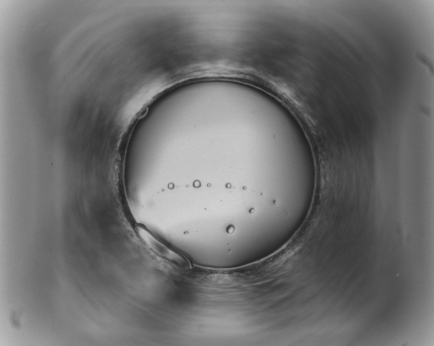 X0000100411463200806131025