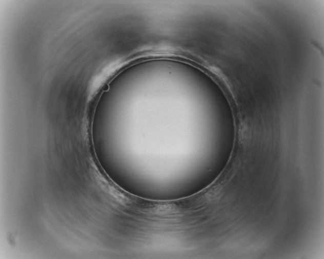 X0000100411464200806131025