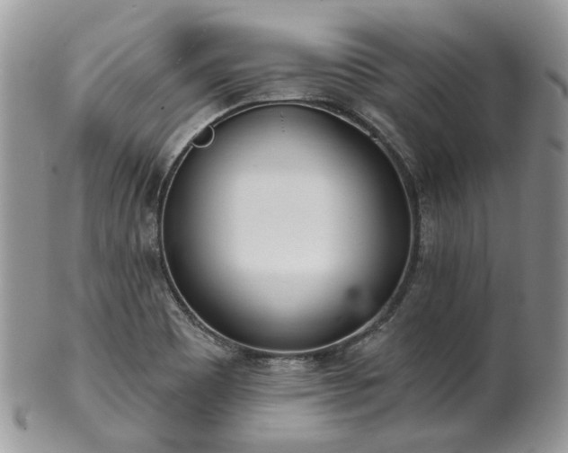 X0000100411465200806131025