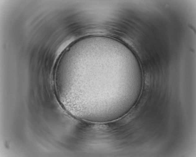 X0000100411466200806131025