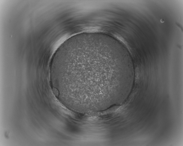 X0000100411467200806131025