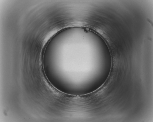 X0000100411469200806131025