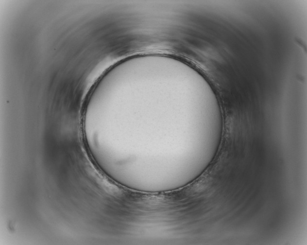 X0000100411470200806131025