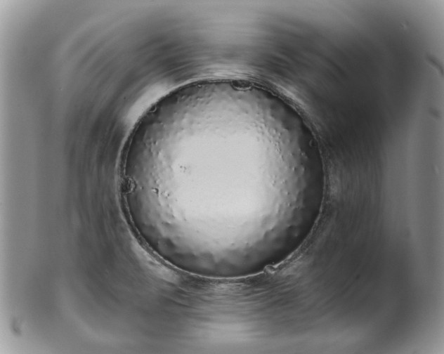 X0000100411471200806131025