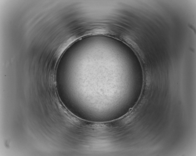 X0000100411473200806131025