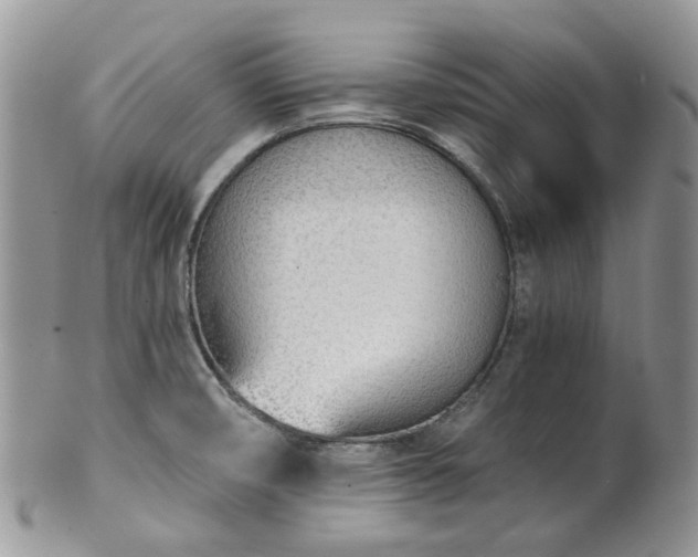 X0000100411474200806131025