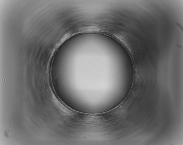 X0000100411475200806131025