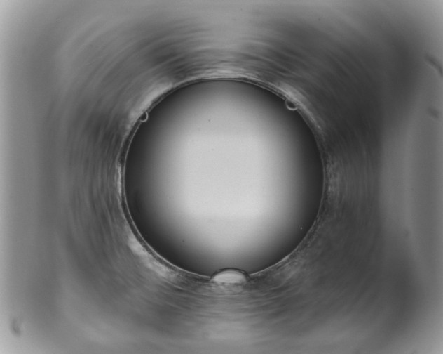 X0000100411476200806131025