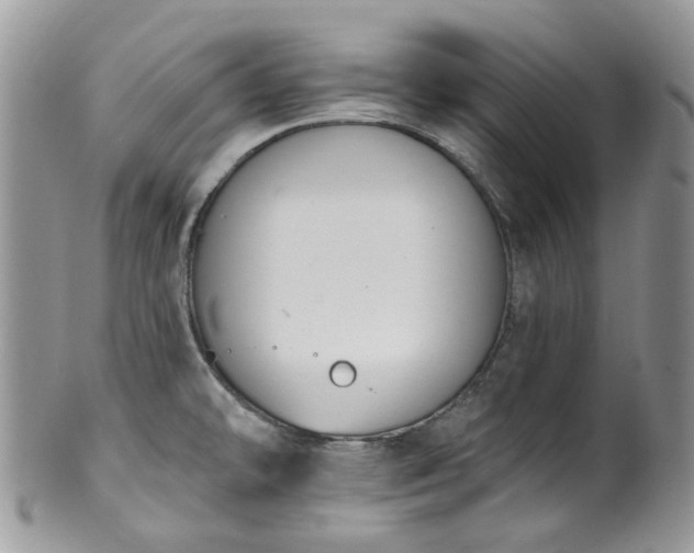 X0000100411478200806131025