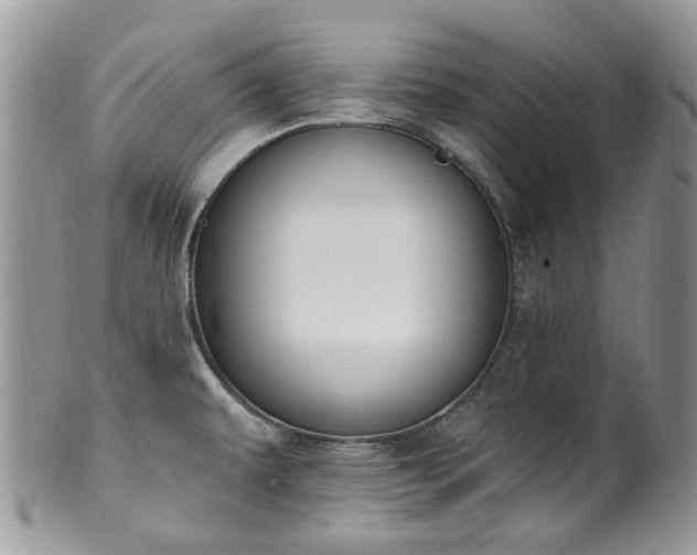 X0000100411479200806131025