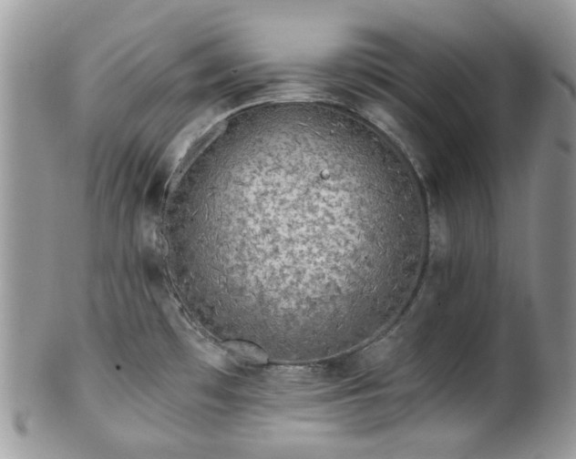 X0000100411481200806131025