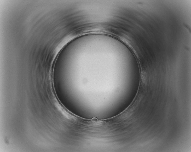 X0000100411482200806131025