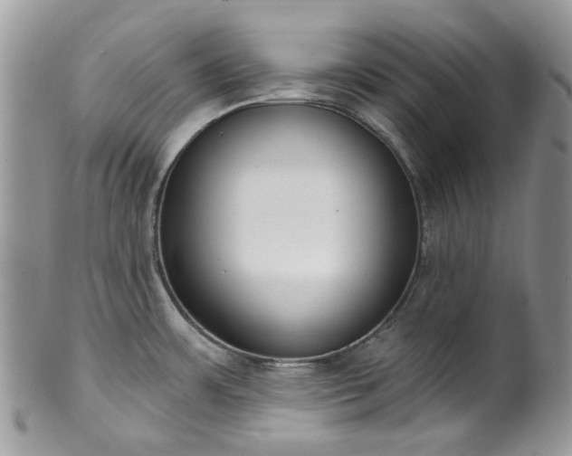 X0000100411483200806131025