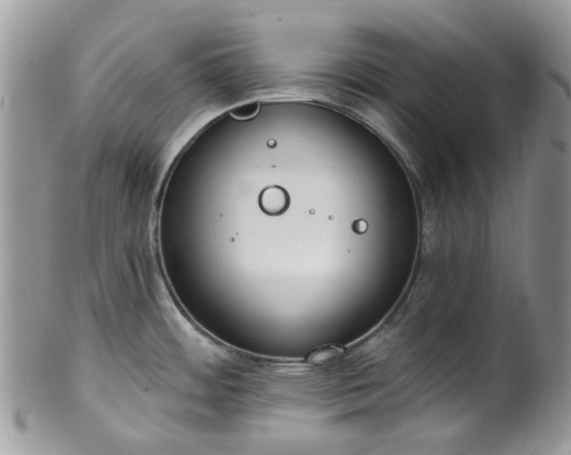 X0000100411484200806131025