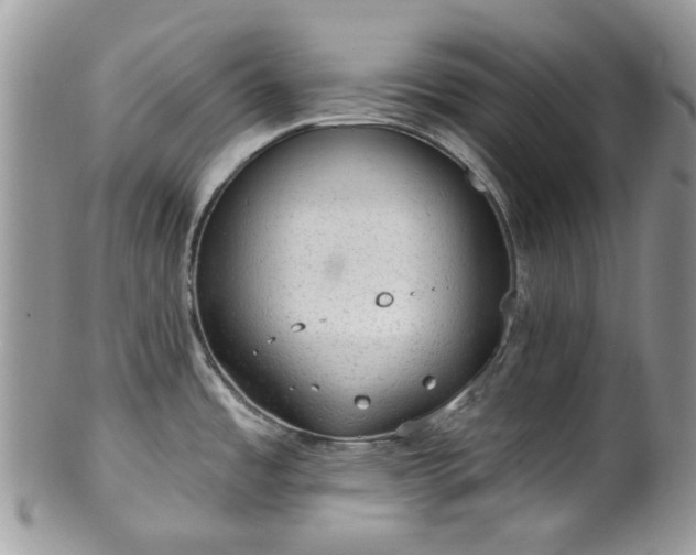 X0000100411485200806131025