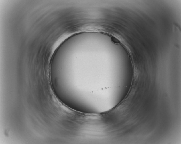 X0000100411486200806131025