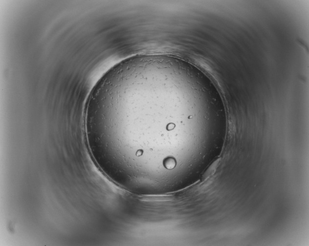 X0000100411487200806131025