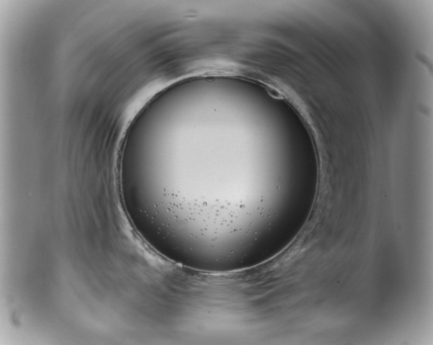 X0000100411488200806131025