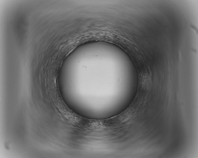 X0000100411489200806131024