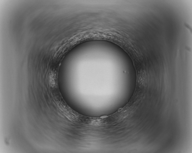 X0000100411490200806131024