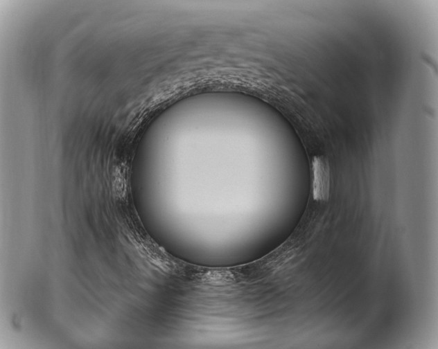 X0000100411491200806131024