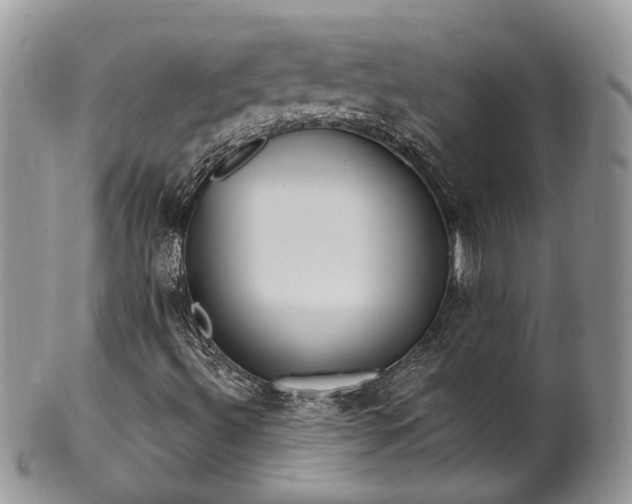 X0000100411492200806131024