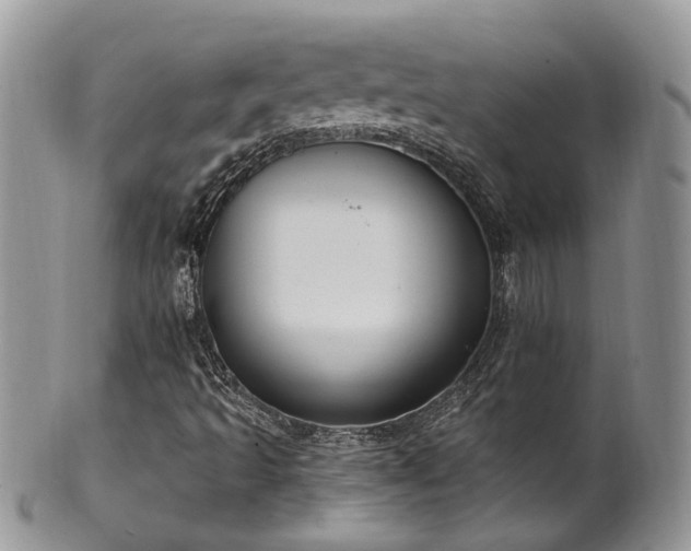 X0000100411493200806131024