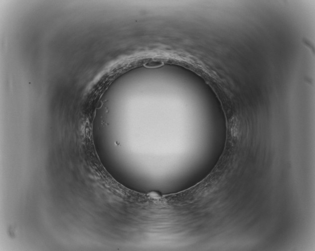 X0000100411495200806131024