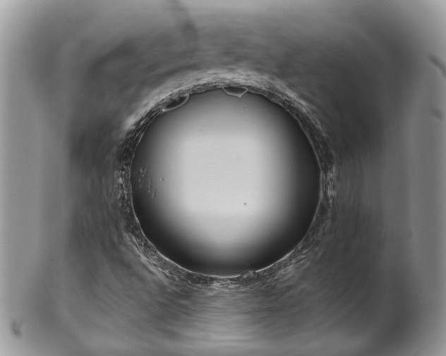 X0000100411496200806131024