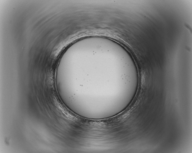 X0000100411498200806131024